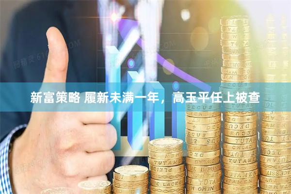 新富策略 履新未满一年，高玉平任上被查