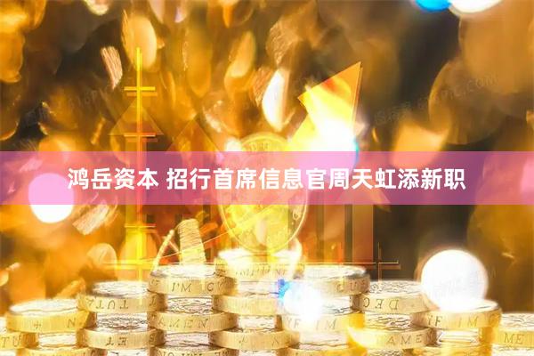 鸿岳资本 招行首席信息官周天虹添新职