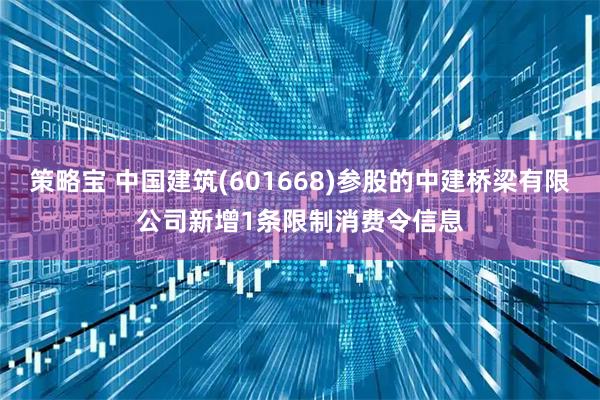 策略宝 中国建筑(601668)参股的中建桥梁有限公司新增1条限制消费令信息