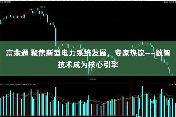 富余通 聚焦新型电力系统发展，专家热议——数智技术成为核心引擎