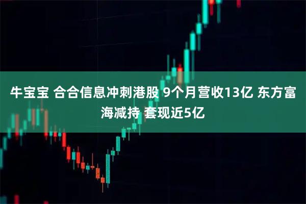 牛宝宝 合合信息冲刺港股 9个月营收13亿 东方富海减持 套现近5亿