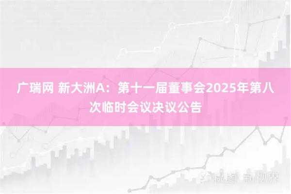 广瑞网 新大洲A：第十一届董事会2025年第八次临时会议决议公告
