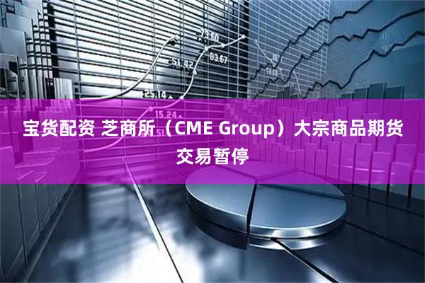 宝货配资 芝商所（CME Group）大宗商品期货交易暂停